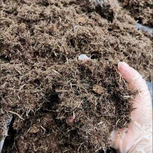 草炭土 泥炭土 营养土批发零售