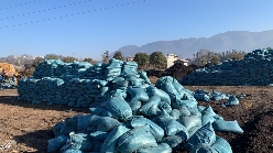 实力诚信商家，基地直发栽培用草炭营养土，花土