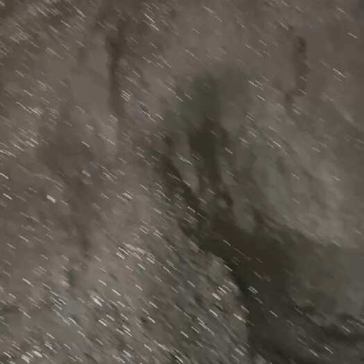 营养土 培育土 腐殖土的区别与用途解析-松松肥园艺土