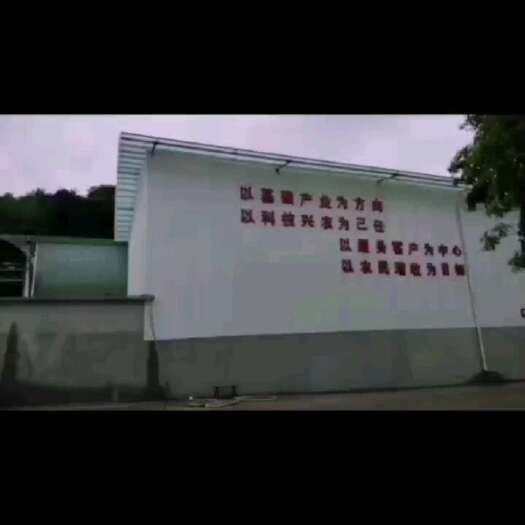 水稻育秧营养土