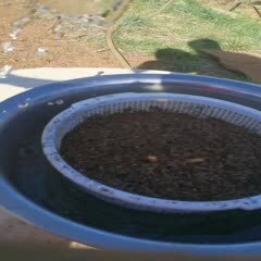 漂浮育苗基质土 腐殖土 腐叶土 营养土