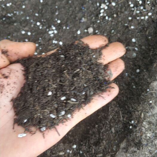 营养土 腐殖土 无土栽培专用土 果树用肥