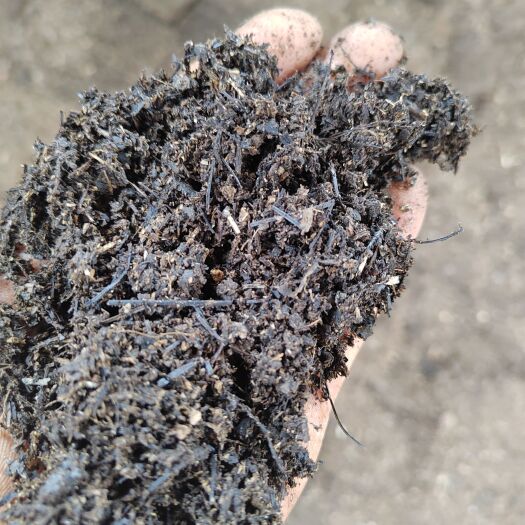 腐殖土，育苗基质，松针土黄松针，一手货源