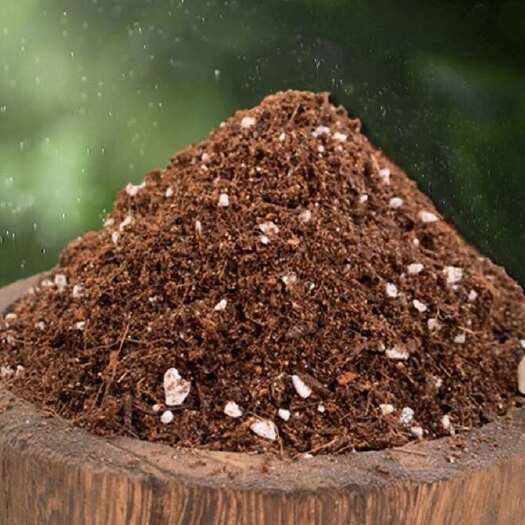 营养土栽培基质通用型养花育苗蔬菜种植土有机腐殖营养土