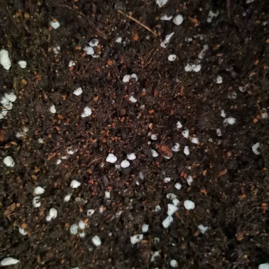 营养土 天然草炭土