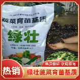 厂家批发瓜果蔬菜育苗基质营养土 花卉插扦基质盆 草莓育苗栽培