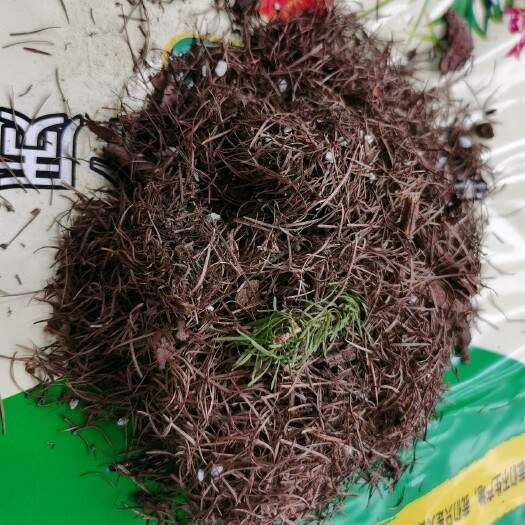 有机营养土批发 腐殖土 松针土 吕梁山土优选-松松肥园艺土 有机营养土批发 腐殖土 松针土 吕梁山土优选-松松肥园艺土