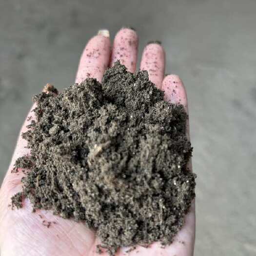 优质泥碳土改良土壤，板结土壤材种植，扦插育苗