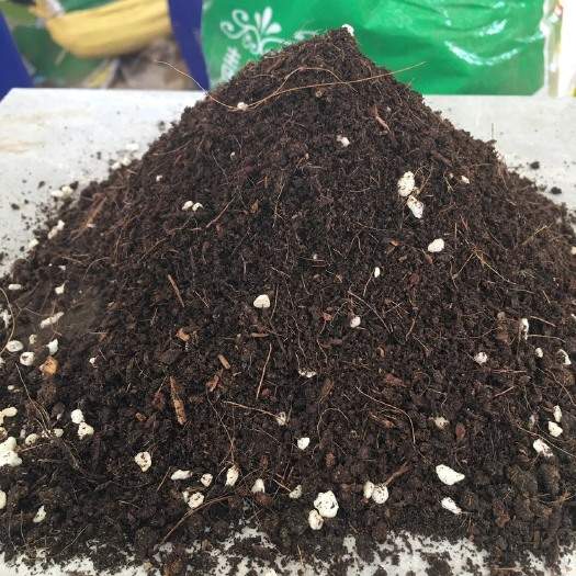 花卉绿化工程营养土 瓜果蔬菜腐殖土