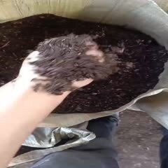 腐殖土 量大从优