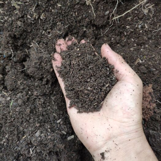 多肉盆栽有机营养土栽培技巧-松松肥园艺土