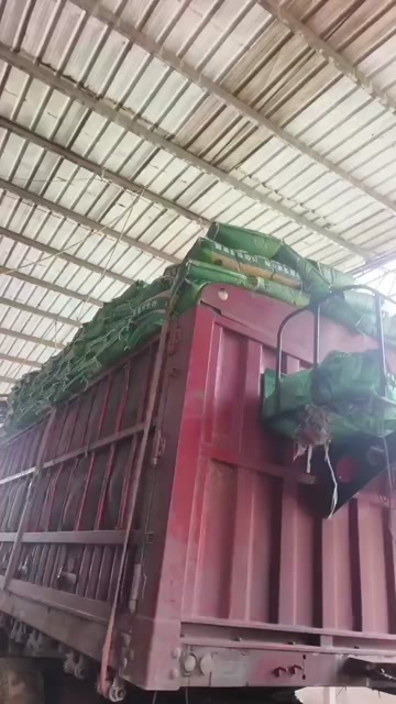 营养土 基质，育苗基质，好基质，育好苗，一手货源，保质保量