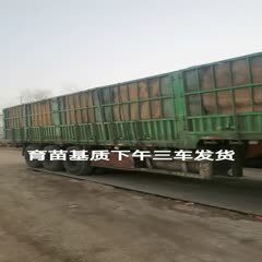 栽培基质 基质，育苗基质，适用于各种瓜果蔬菜，烟草花卉的育