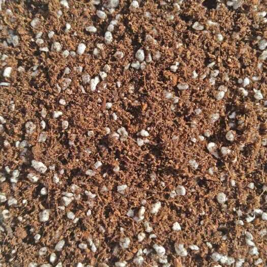 寿光供应栽培基质营养土 农用种植土