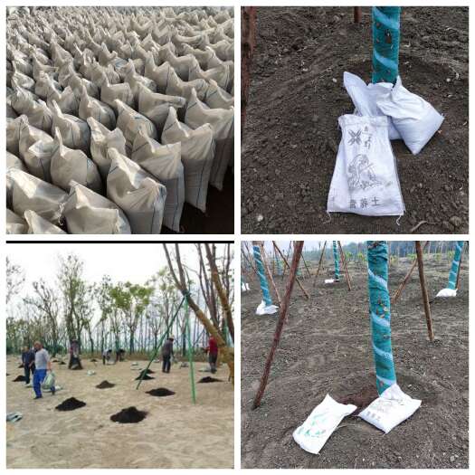 营养土绿化工程花卉绿植土壤改良泡土松土增加底肥@鑫立里