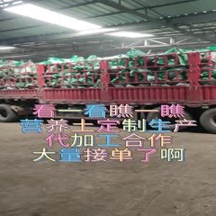 鑫立里营养土基质生产厂家泡土松土土壤改良调节 鑫立里营养土基质生产厂家泡土松土土壤改良调节