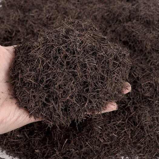 腐熟松针腐殖土腐叶土多肉绿萝营养土种菜通用种花土壤泥炭土