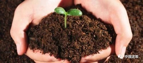营养土育苗基质选择指南：打造优质花卉栽培土壤-松松肥园艺土