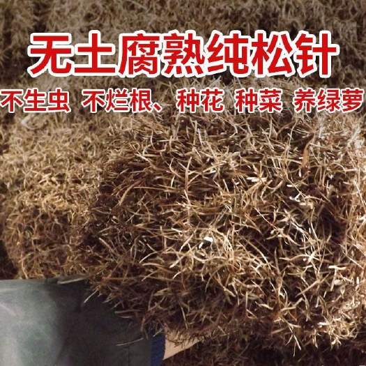 纯腐熟松针作为优质有机肥料的特性及应用方法-松松肥园艺土