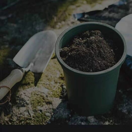 通用型营养土配制方法及适用植物种植技巧-松松肥园艺土