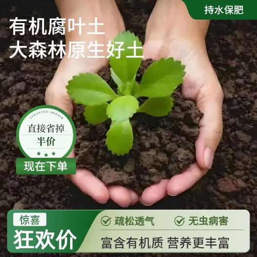 优质营养土配制方法及叶土养花应用指南-松松肥园艺土