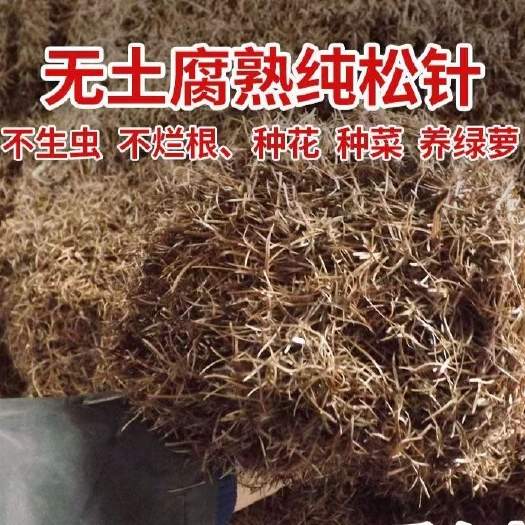 松针腐殖土养兰专用配制方法与使用技巧-松松肥园艺土