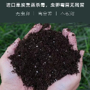 种植花卉 通用专用 多肉专用营养土