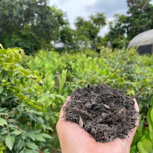 营养土改良土壤平衡酸碱 保水促根富含有机质 营养土改良土壤平衡酸碱 保水促根富含有机质