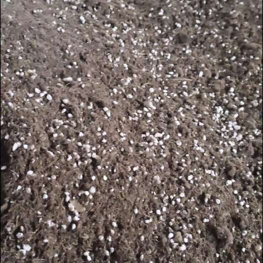 有机营养土 有机营养土