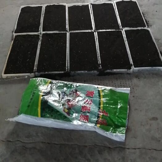 育苗基质 有机营养土 草莓西瓜育苗 水稻育秧 育苗基质 有机营养土 草莓西瓜育苗 水稻育秧