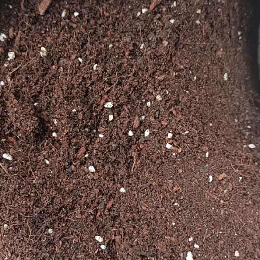 育苗基质 无土栽培 西瓜育苗 草莓育苗 蔬菜育苗