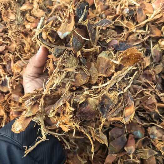 云南营养土栽培基质 农资农机农用百货 松包壳，松筋，支持定制