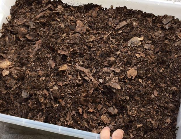 营养土 培育基质/腐殖土原材料