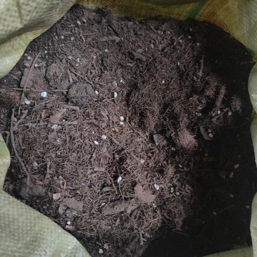 腐殖松针 营养土 腐殖土