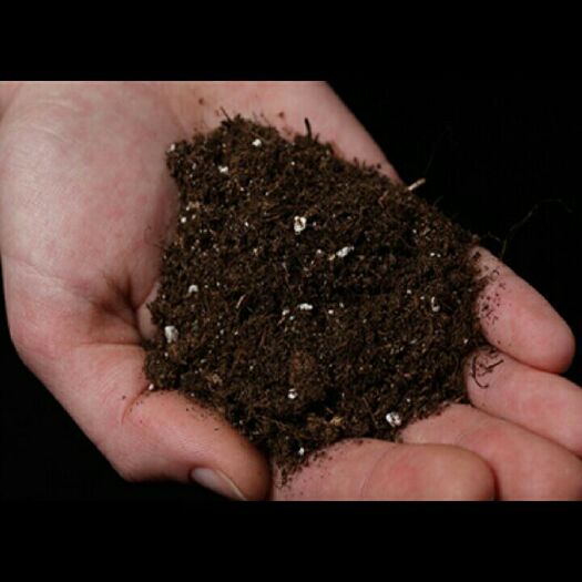 富硒营养土 富硒营养土