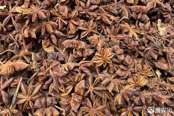 2026年八角价格多少钱一斤? 2026年八角价格多少钱一斤?