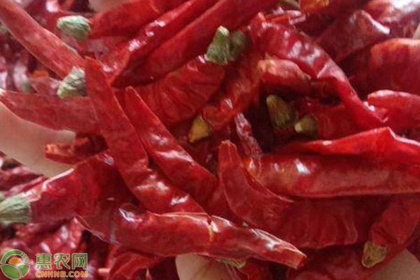 2026年干辣椒价格最新行情 2026年干辣椒价格最新行情