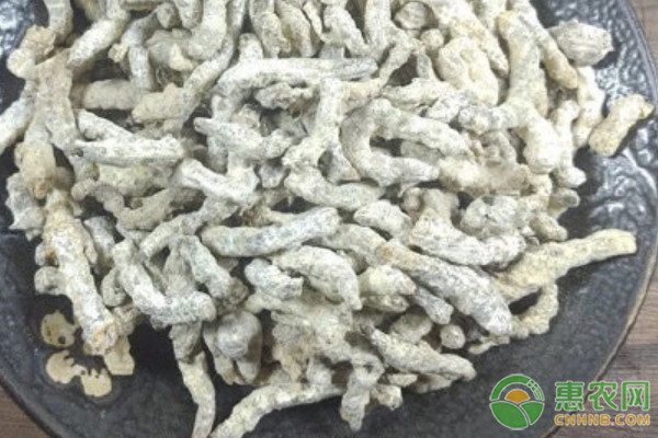 2025僵蚕多少钱一斤? 2025僵蚕多少钱一斤?
