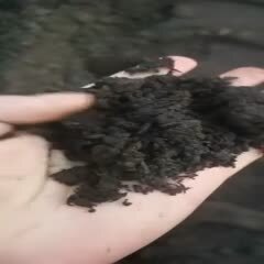 发酵营养土，泥炭土，食用双孢菇菌渣，工程绿化果树种植土