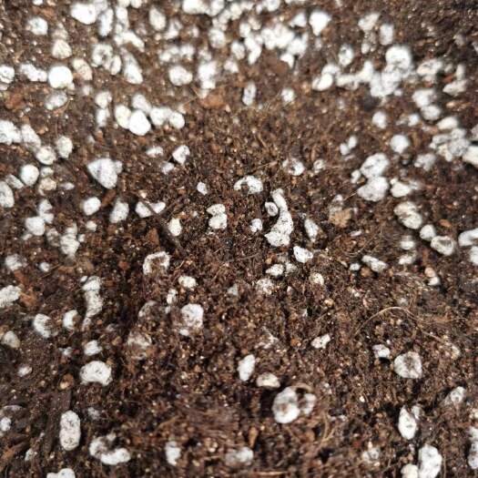 栽培基质 基质，育苗基质，厂家直销，采用优质原料，透气性好