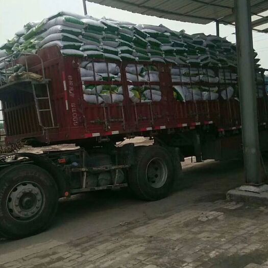 栽培基质 育苗基质，山东莘县育苗基质，好基质，育好苗