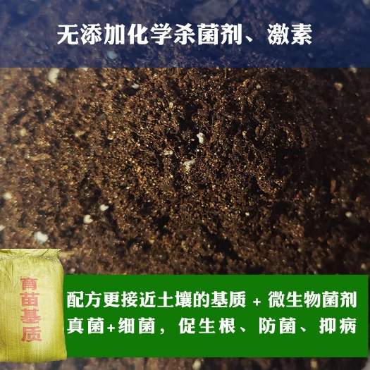 瓜果蔬菜、草莓育苗，西瓜育苗，番茄育苗，辣椒育苗基质