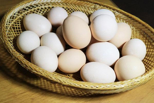 河南鸡蛋价格行情分析 今日各地报价及后期走势预测-松松肥园艺