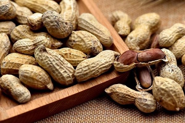 2020年9月全国花生价格行情分析 新季花生上市走势如何-松