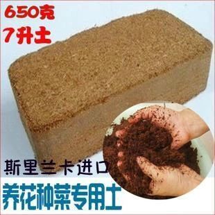 营养土专用阳台多肉植物种菜种植土通用型椰砖养花花肥多肉土