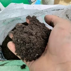 营养土批发工程用土繁殖用土蔬菜瓜果土