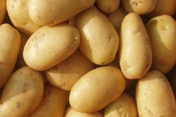 7月土豆价格行情分析：多地批发价下跌趋势明显-松松肥园艺土