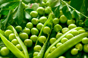 豌豆价格多少钱一斤？豌豆种植成本及利润分析