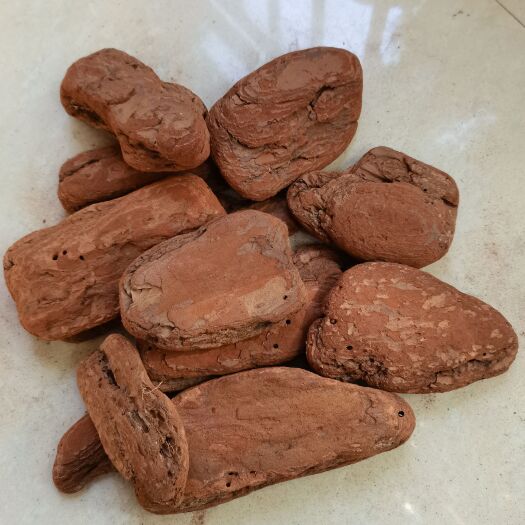 营养土 打磨抛光松鳞覆盖物基质松树皮有机覆盖物