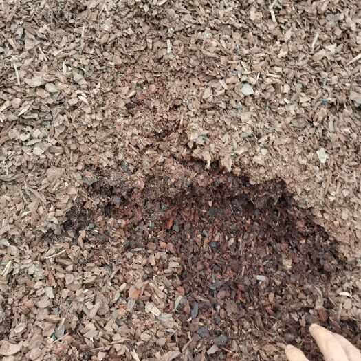 营养土 江西吉安发酵松鳞基质松树皮兰花植料容器苗苗木花卉栽